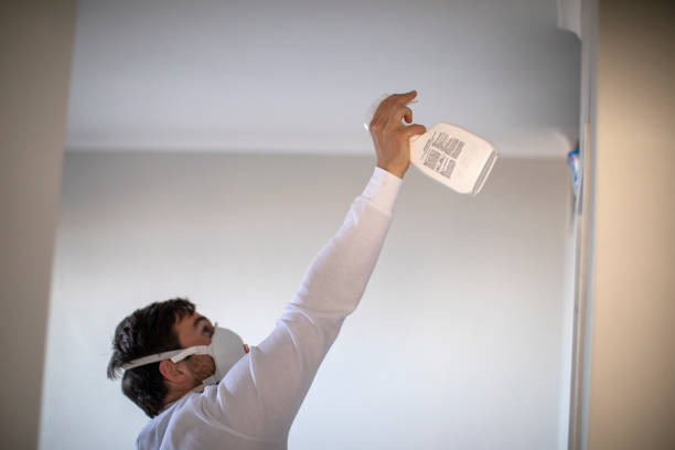 Best Preventive Mold Services in Hamilton Square, NJ