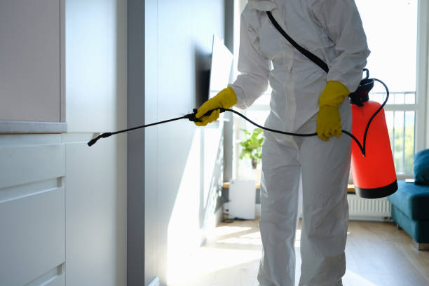 Best DIY Mold Remediation Support Services in Hamilton Square, NJ