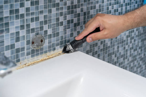Best Black Mold Remediation in Hamilton Square, NJ